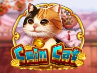 Coin Cat