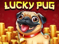Lucky Pug