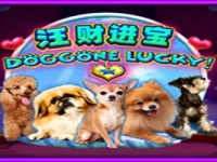 Doggone Lucky!