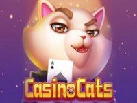 Casino Cats