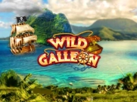 Wild Galleon