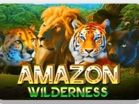 Amazon Wilderness
