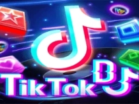 Tik Tok DJ