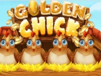 Golden Chick