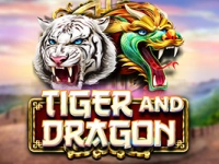 Tiger and Dragon