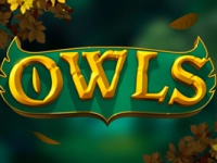 Owls