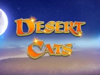 Desert Cats