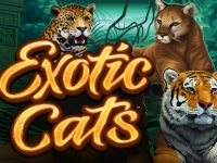 Exotic Cats