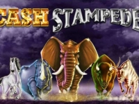 Cash Stampede