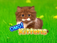 OMG Kittens
