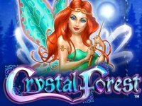 Crystal Forest